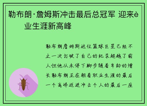 勒布朗·詹姆斯冲击最后总冠军 迎来职业生涯新高峰