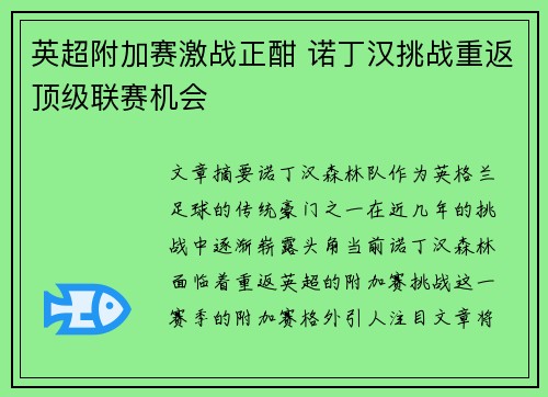 英超附加赛激战正酣 诺丁汉挑战重返顶级联赛机会